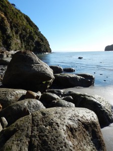 Taupo - Mt Egmont-036